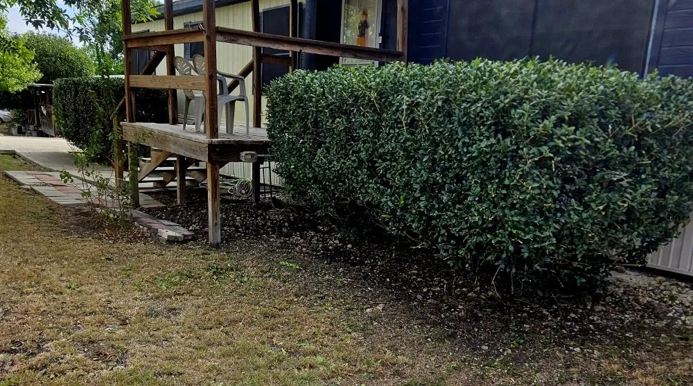 Reliable lawn mowing service for homes across Santa Clara, TX - Dizzy Creek Tree and Lawn Service