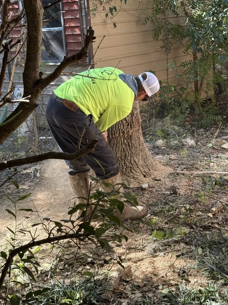 Affordable lawn care service in Santa Clara, TX - Dizzy Creek Tree and Lawn Service