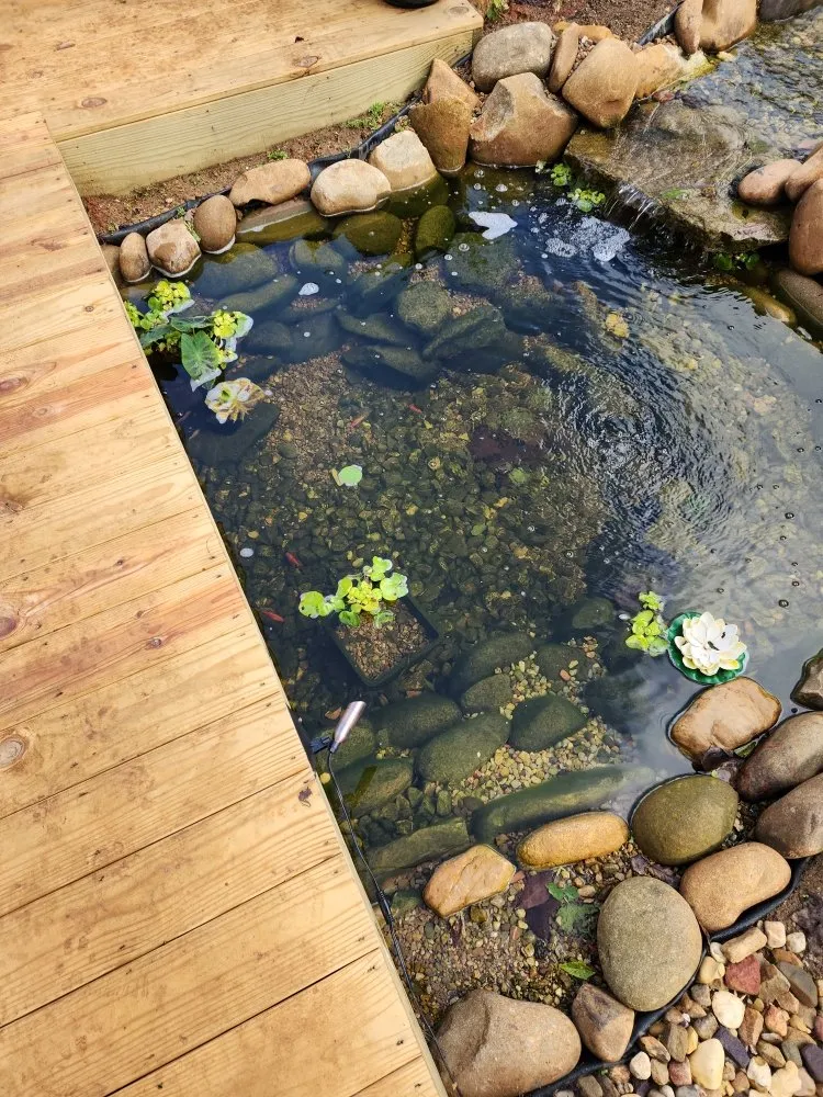 Professional yard cleanup service in Knoxville, TN - Dizzy Ditch Diggers