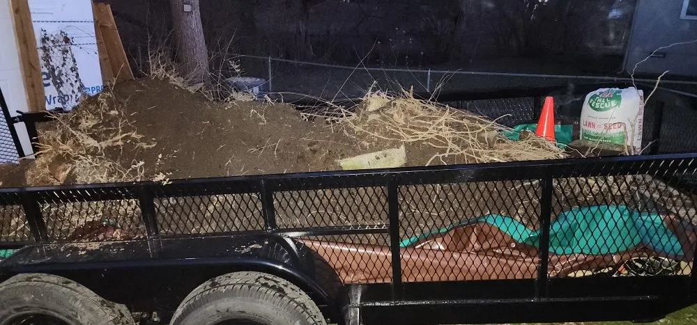 Top-rated landscape design for year-round maintenance across Knoxville, TN - Dizzy Ditch Diggers