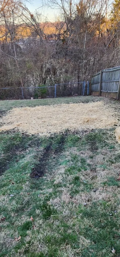 Affordable lawn care service in Knoxville, TN by Dizzy Ditch Diggers
