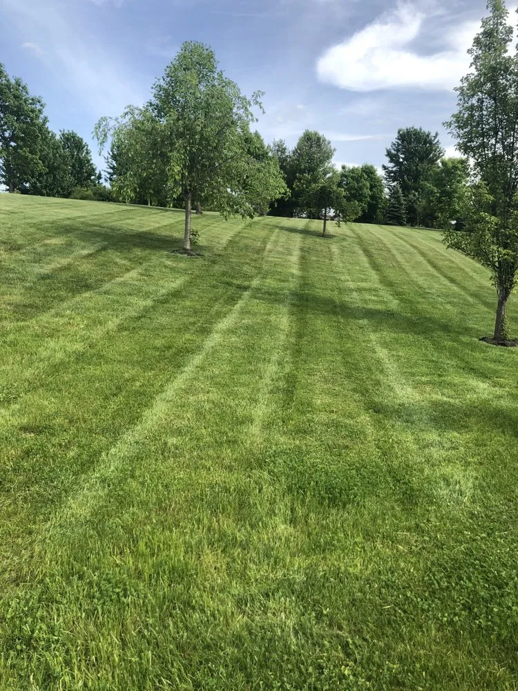 Affordable yard cleanup service in Poughkeepsie, NY by D&J Dutchess landscaping