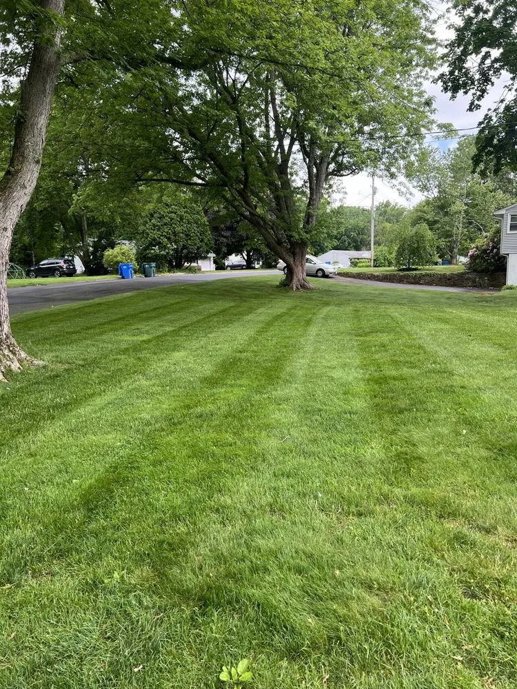 Affordable landscaping services for year-round maintenance across Hamden, CT - D&J Family Lawn Care