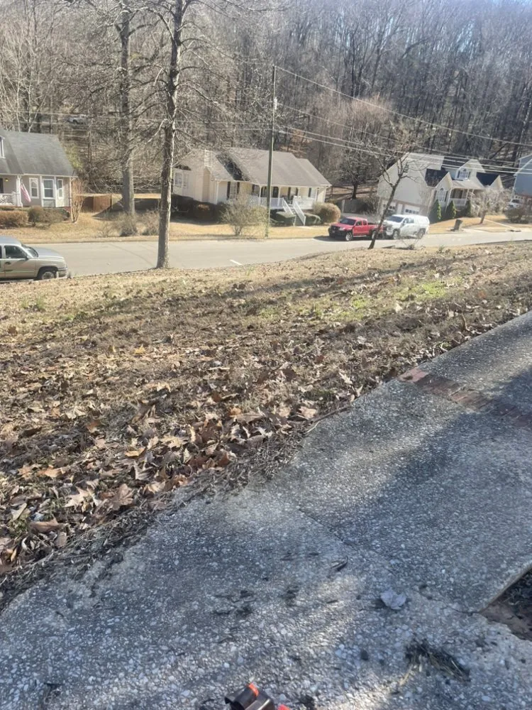 Expert yard cleanup service in Birmingham, AL - D&j Home Helpers