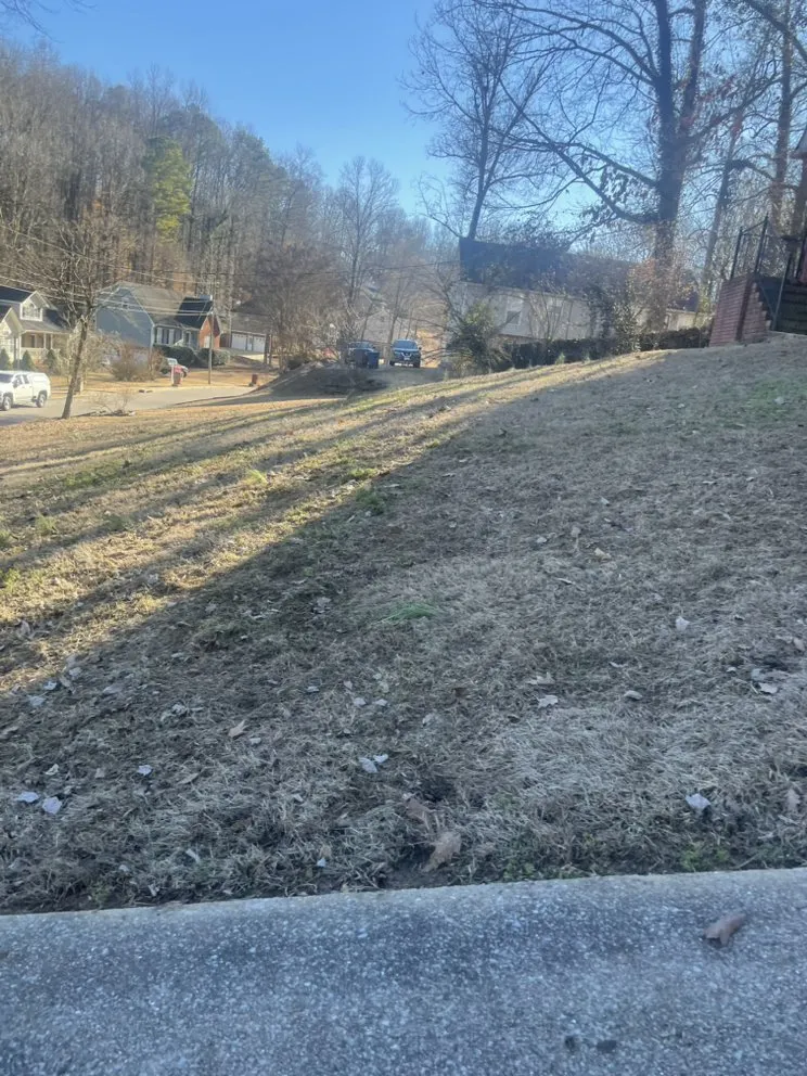 Expert lawn mowing service experts serving Birmingham, AL - D&j Home Helpers