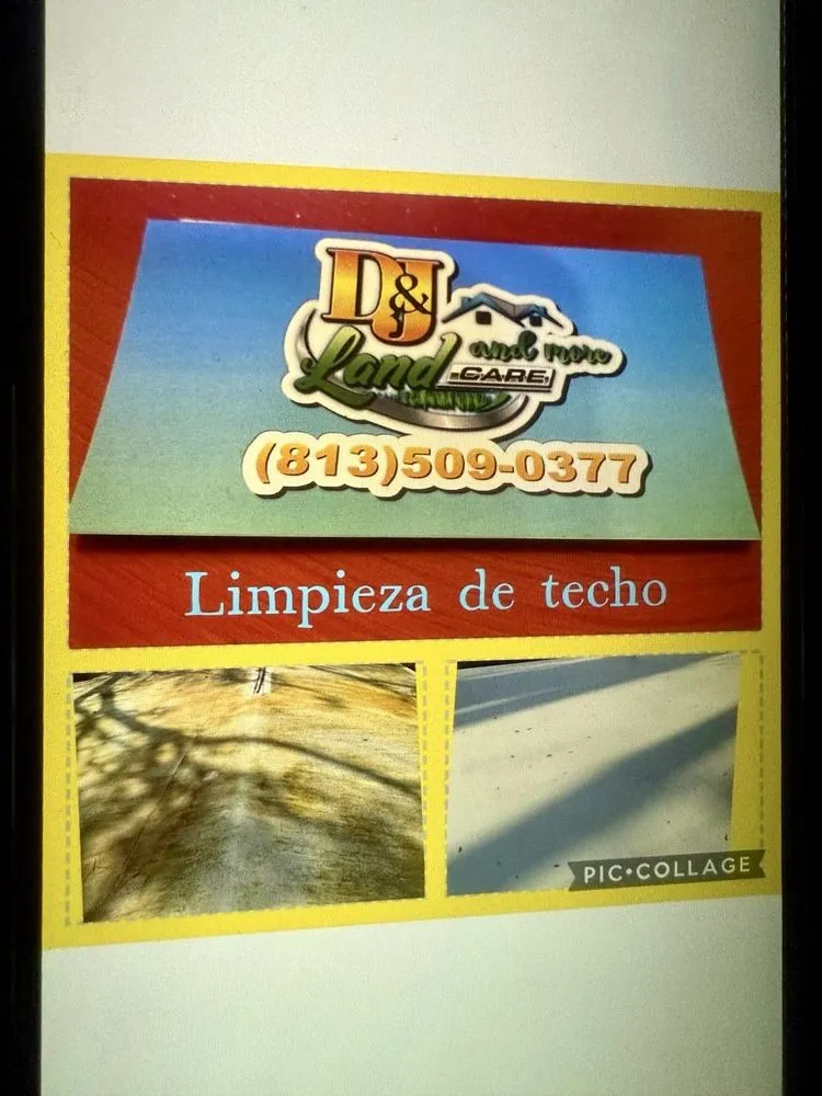 Custom landscape installation in Tampa, FL by D&J Land Care and More