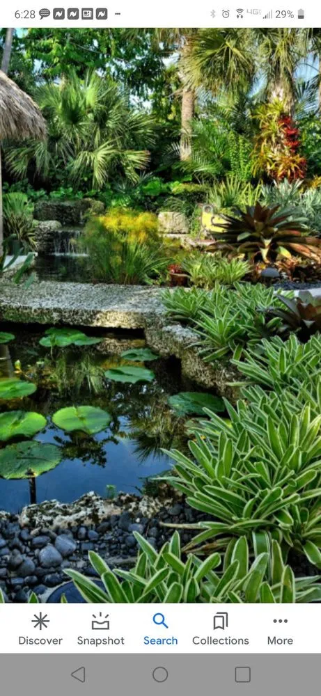 Affordable yard cleanup service in Waimea, HI - DJ Landscape & Design