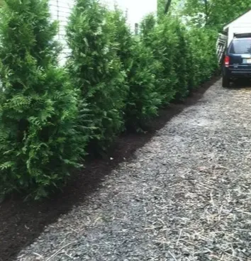 Expert garden landscaping near you across Summit, NJ - D&J Landscape And Construction