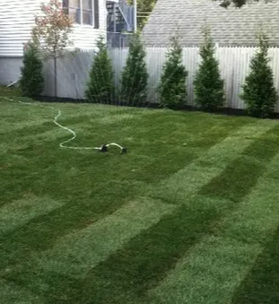 Affordable lawn mowing service with custom design in Summit, NJ by D&J Landscape And Construction