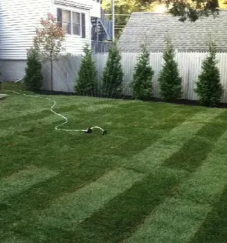 Affordable yard cleanup service for year-round maintenance in Summit, NJ by D&J Landscape And Construction