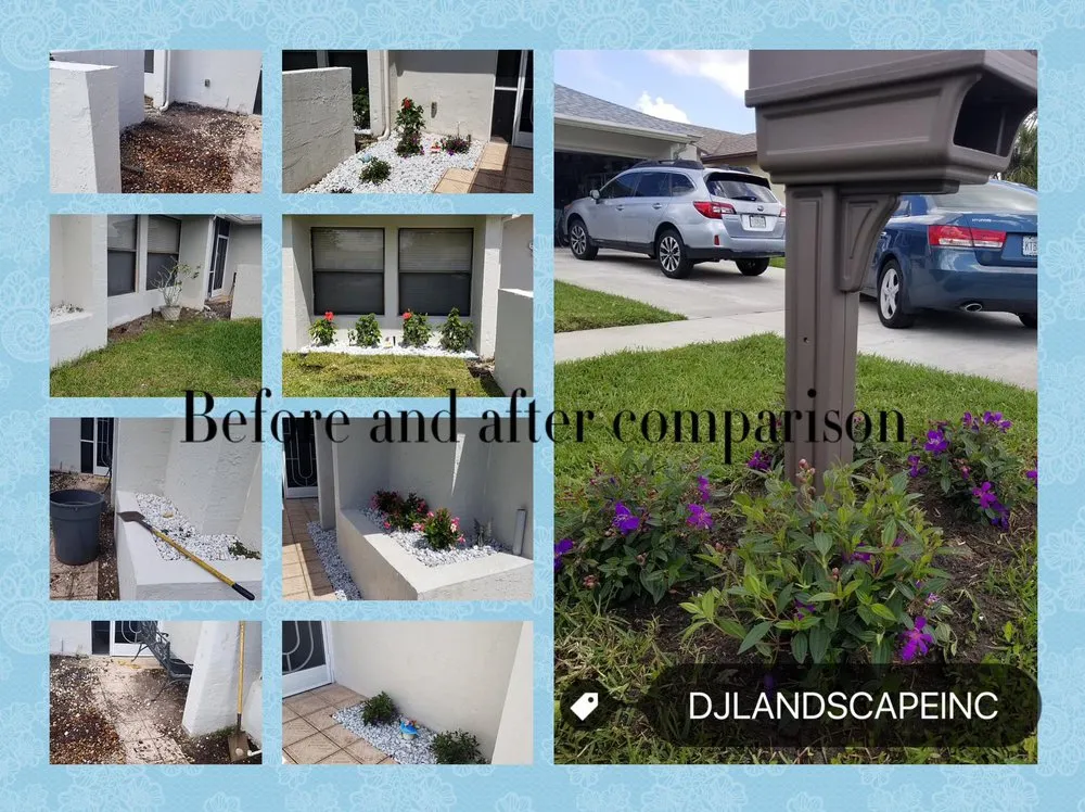 Top-rated yard cleanup service in Boynton Beach, FL - DJ Landscape