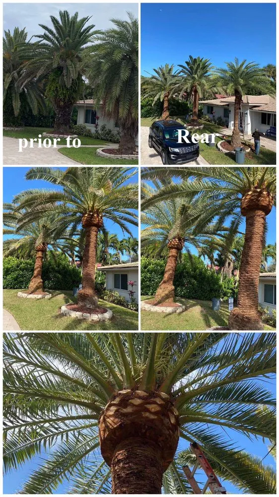 Custom lawn mowing service for year-round maintenance across Boynton Beach, FL - DJ Landscape