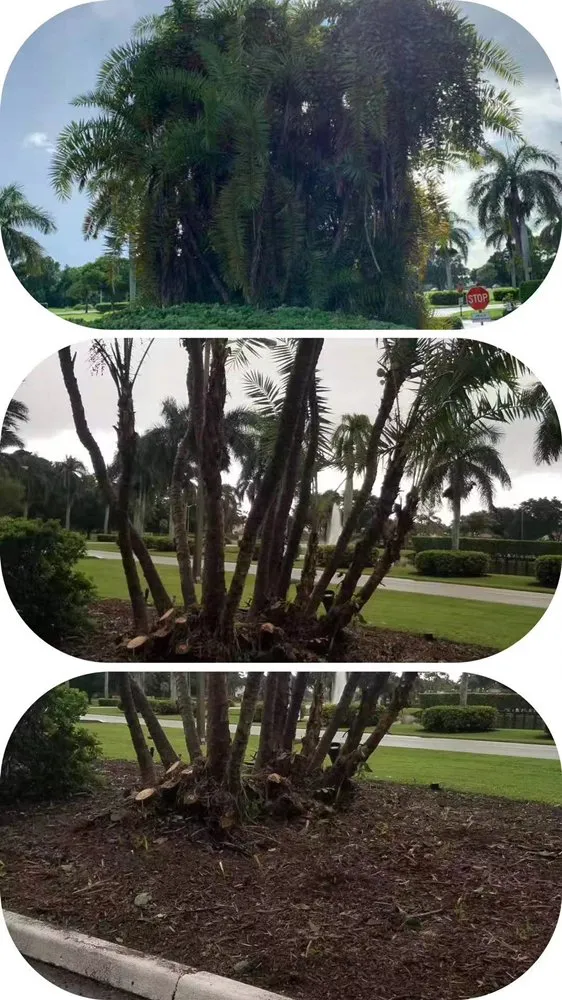Custom garden landscaping experts serving Boynton Beach, FL - DJ Landscape