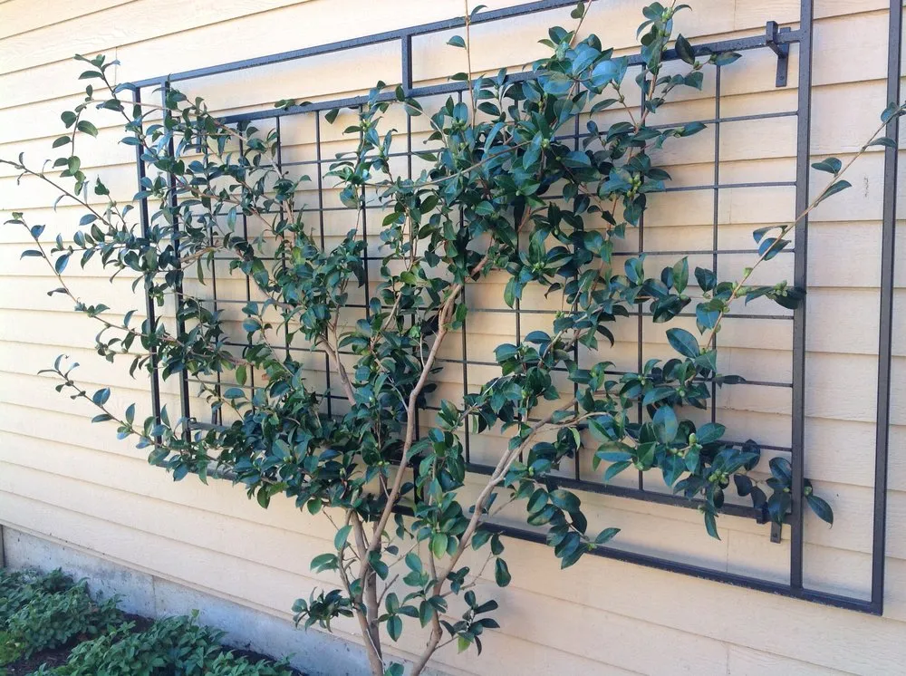 Local landscape installation experts serving Vancouver, WA - D&J Landscape Contractors