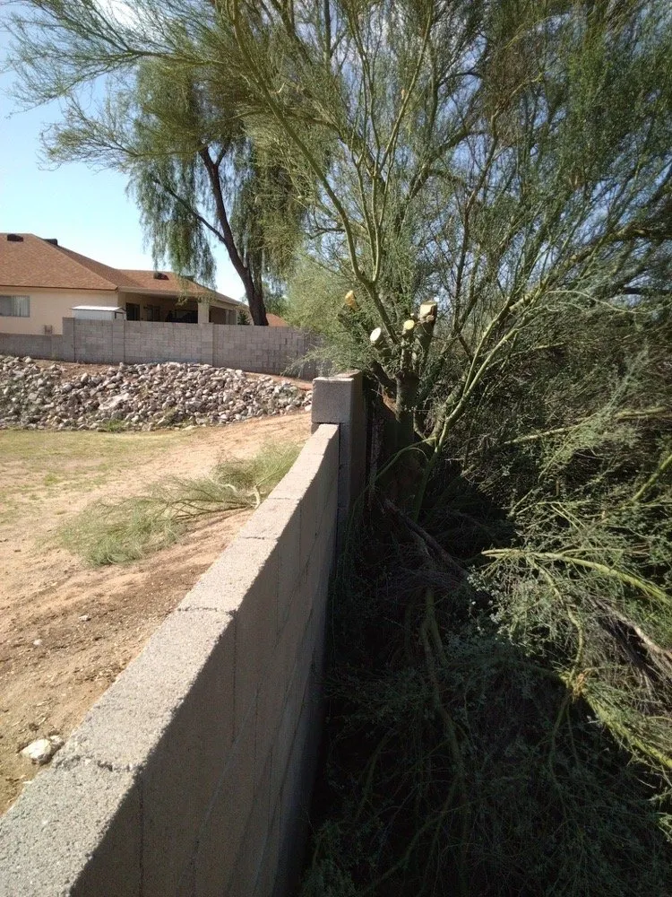Affordable landscape design with custom design in Tucson, AZ by D&J Landscape Maintenance