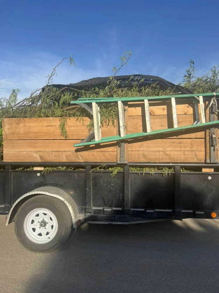 Local yard cleanup service in Tucson, AZ by D&J Landscape Maintenance