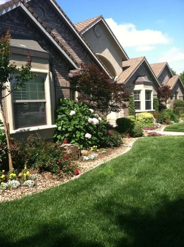 Local outdoor landscaping experts serving Stockton, CA - D&J Landscape Management