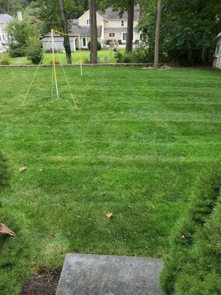 Custom garden landscaping for outdoor upgrades across Stamford, CT - DJ Landscape