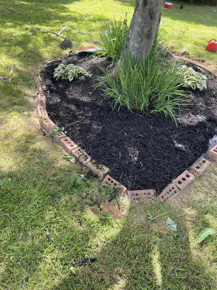 Reliable landscape design in Richmond, VA - Dj Landscaping & Tree Services