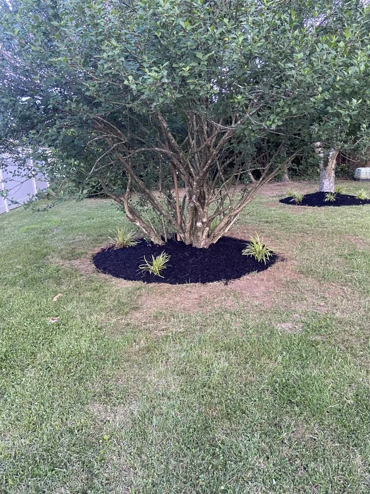 Trusted outdoor landscaping in Richmond, VA by Dj Landscaping & Tree Services