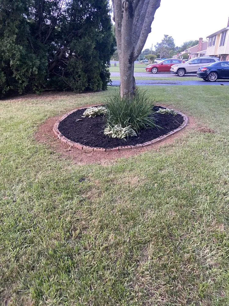 Reliable yard maintenance for beautiful yards across Richmond, VA - Dj Landscaping & Tree Services