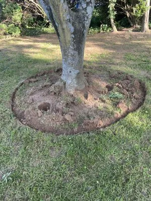 Dj Landscaping & Tree Services Logo