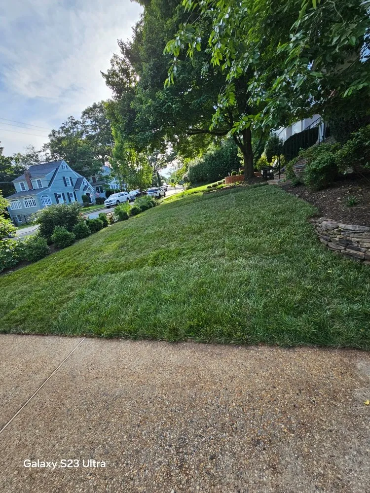 Expert garden landscaping for residential properties in Alexandria, VA by D&J Landscaping