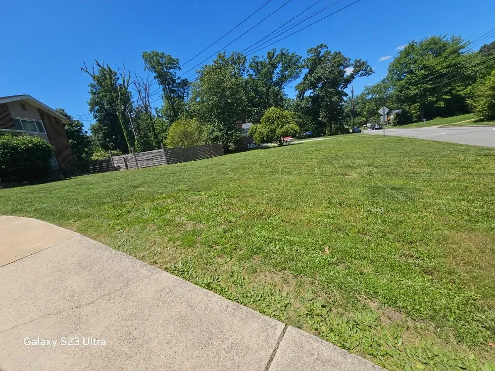 Custom landscape installation in Alexandria, VA - D&J Landscaping