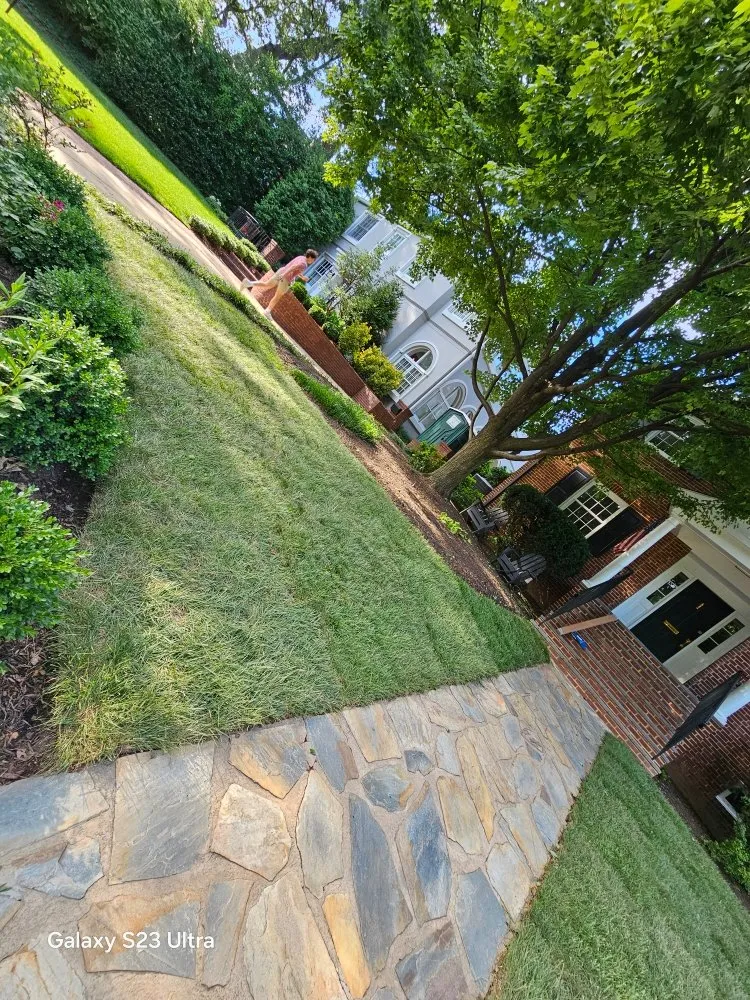 Custom landscape installation for homes in Alexandria, VA by D&J Landscaping