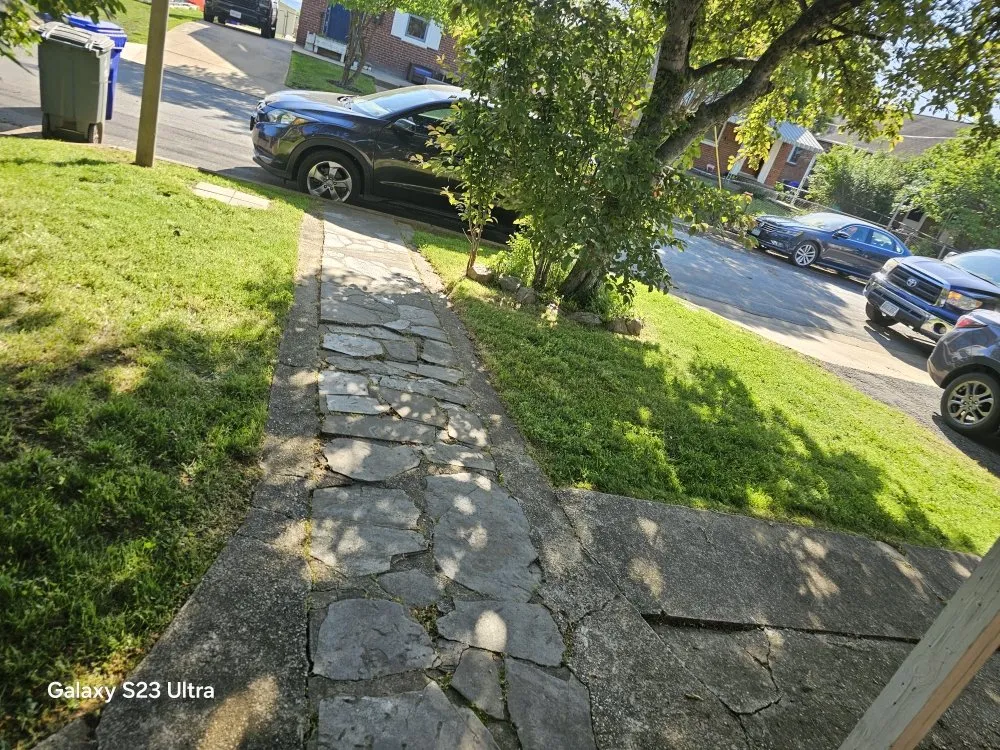 Top-rated yard cleanup service in Alexandria, VA by D&J Landscaping