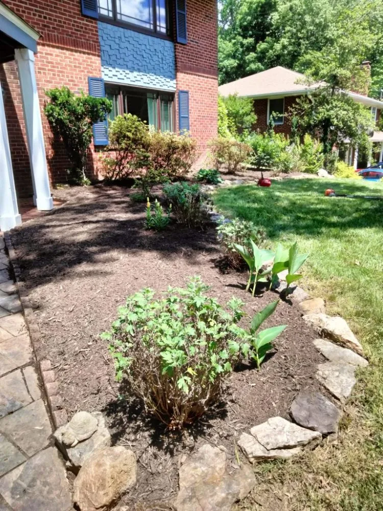 Trusted outdoor landscaping with custom design in Alexandria, VA by D&J Landscaping