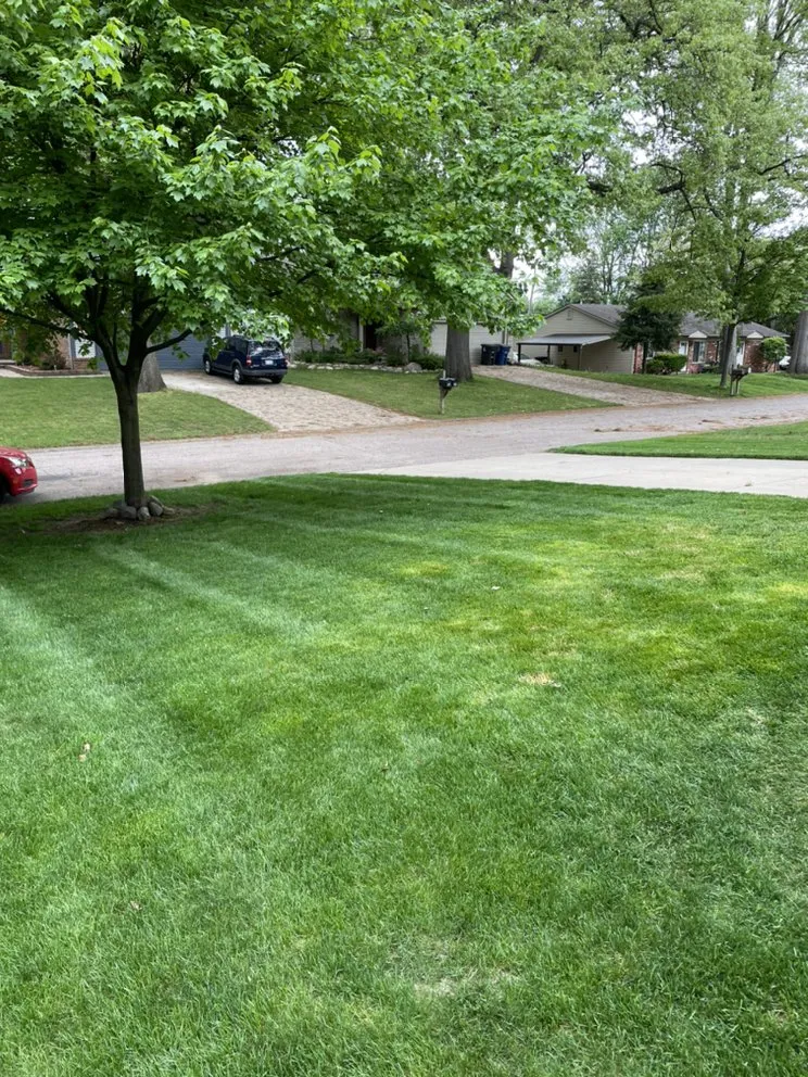 Top-rated garden landscaping with custom design across Belleville, MI - D&J Landscaping