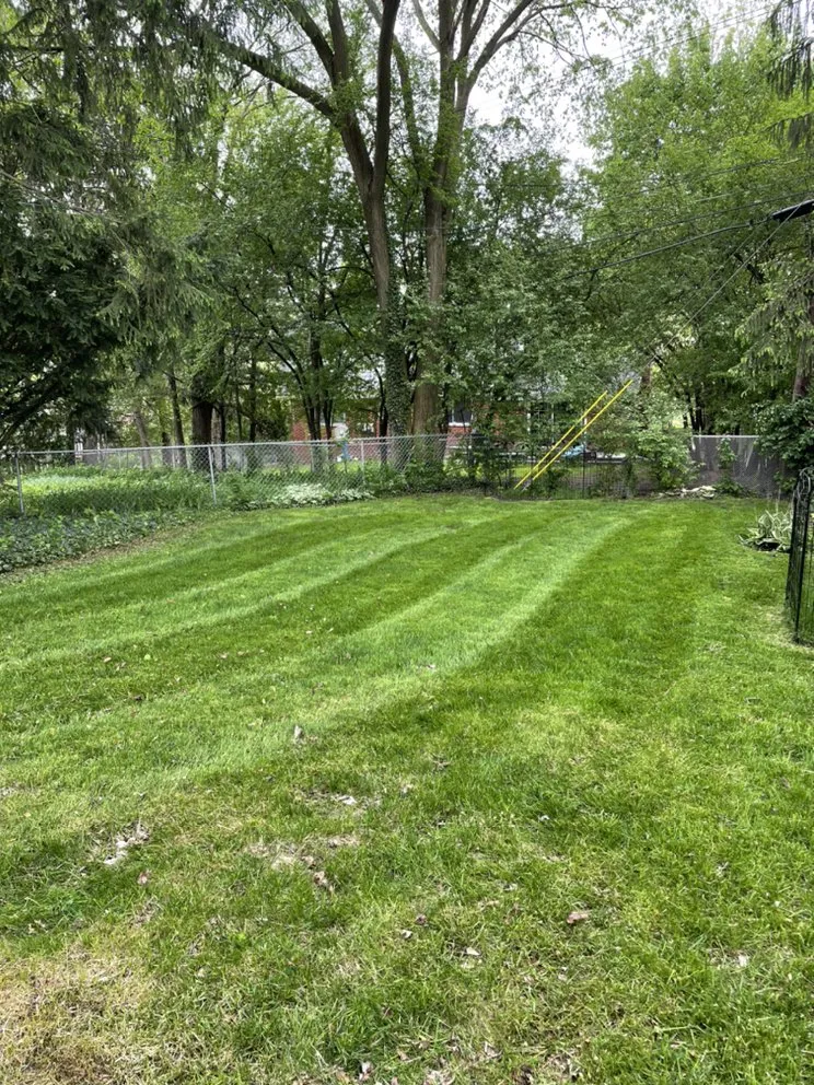 Affordable garden landscaping in Belleville, MI - D&J Landscaping