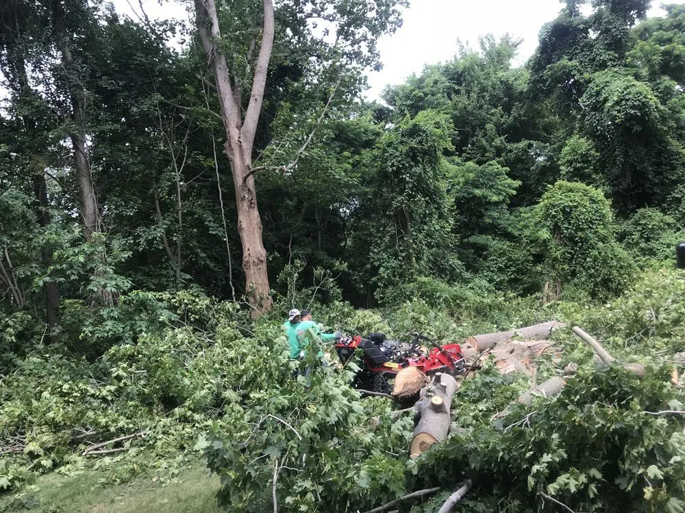 Custom landscape installation in Brentwood, NY by DJ Landscaping