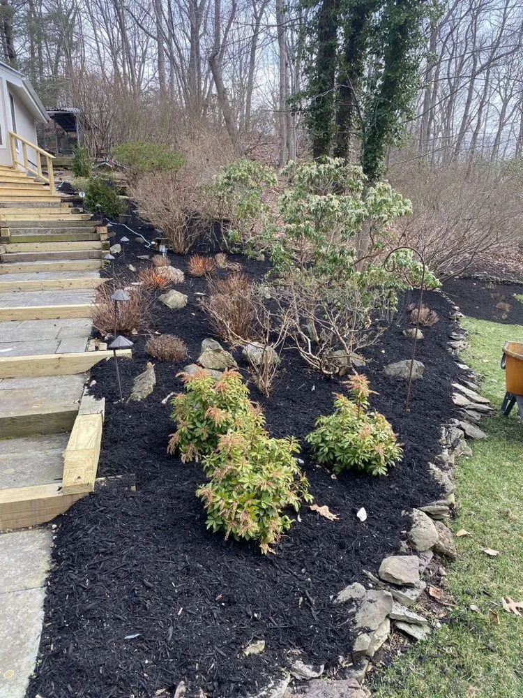 Affordable yard cleanup service in Brentwood, NY - DJ Landscaping