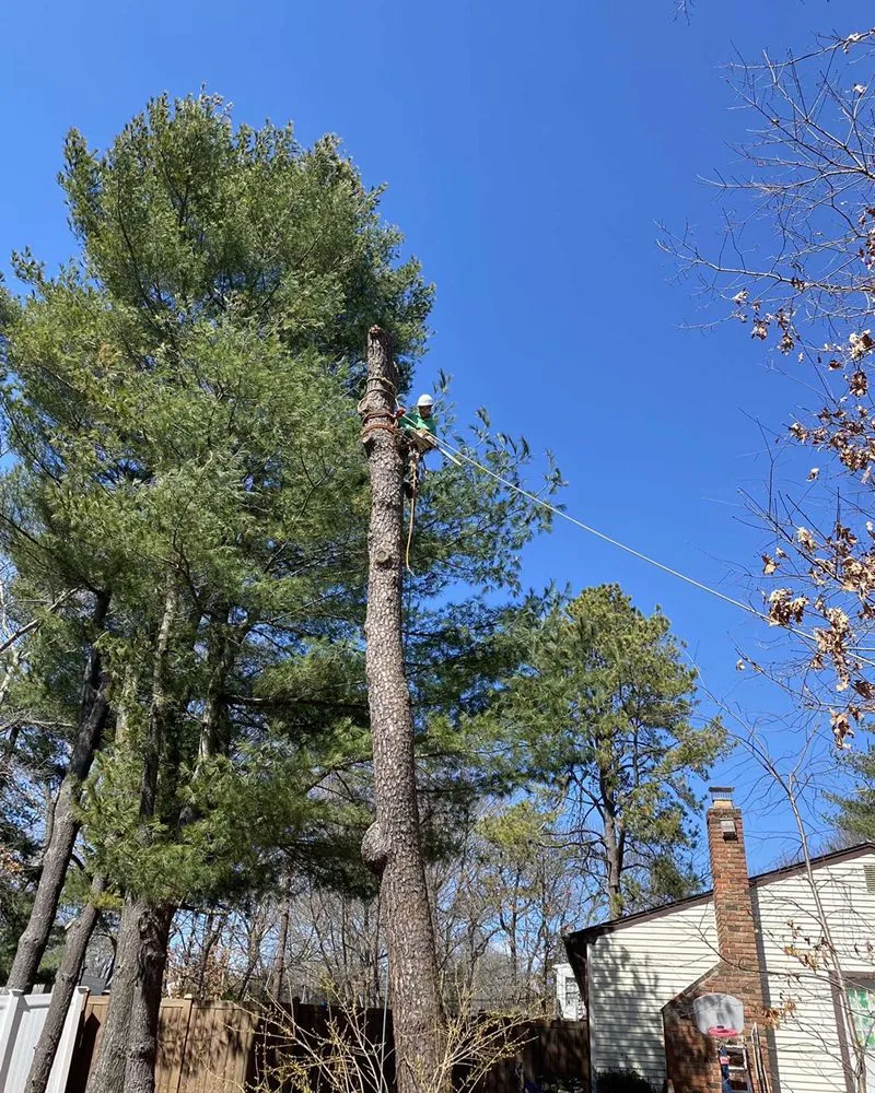 Reliable garden landscaping for residential properties across Brentwood, NY - DJ Landscaping