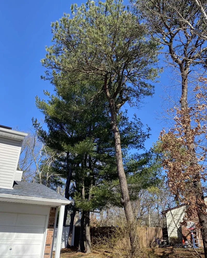 Trusted lawn care service for outdoor upgrades across Brentwood, NY - DJ Landscaping