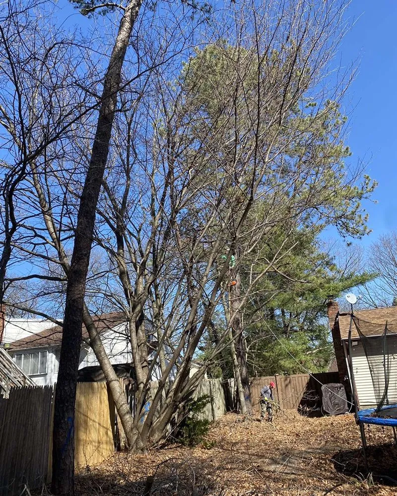 Local garden landscaping in Brentwood, NY - DJ Landscaping