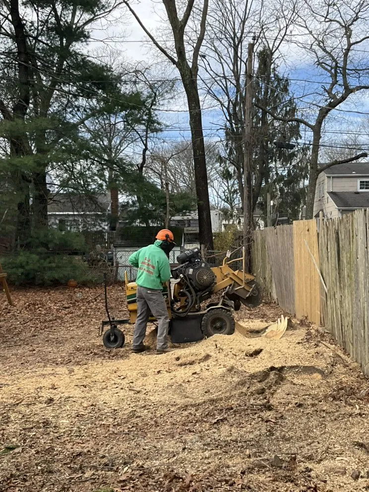 Trusted yard cleanup service in Brentwood, NY by DJ Landscaping