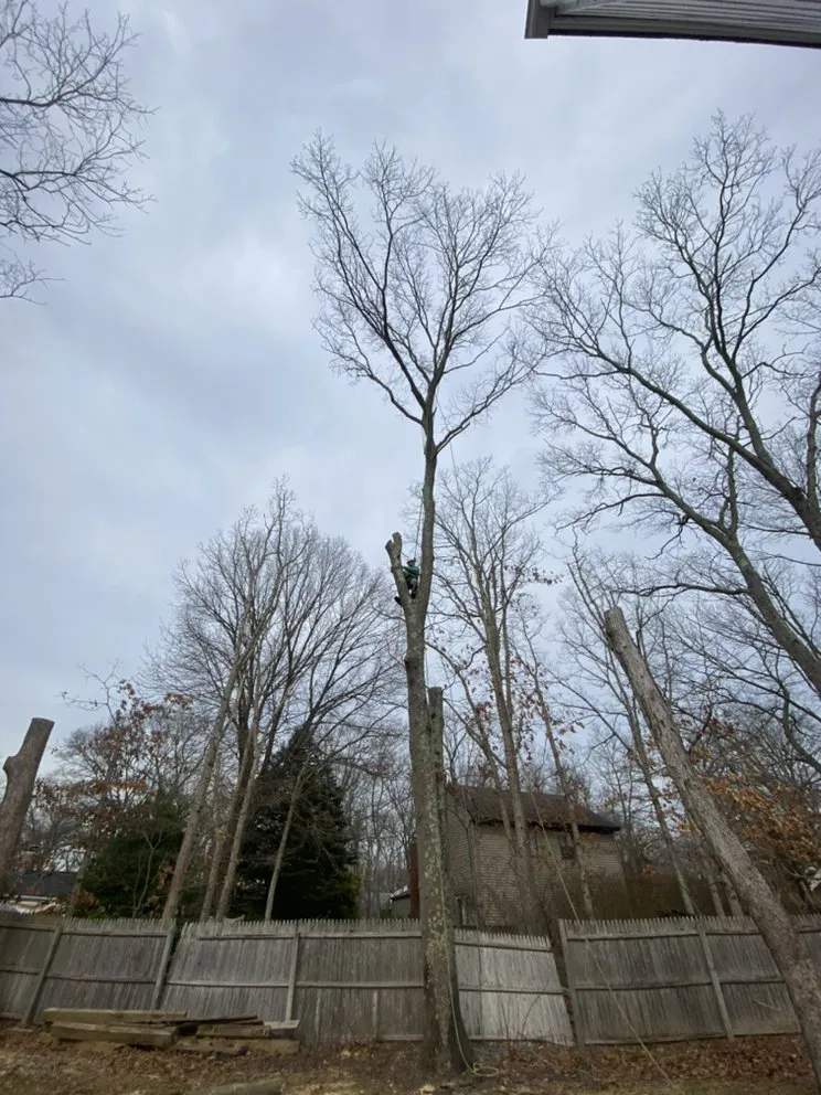 Custom yard cleanup service for beautiful yards across Brentwood, NY - DJ Landscaping