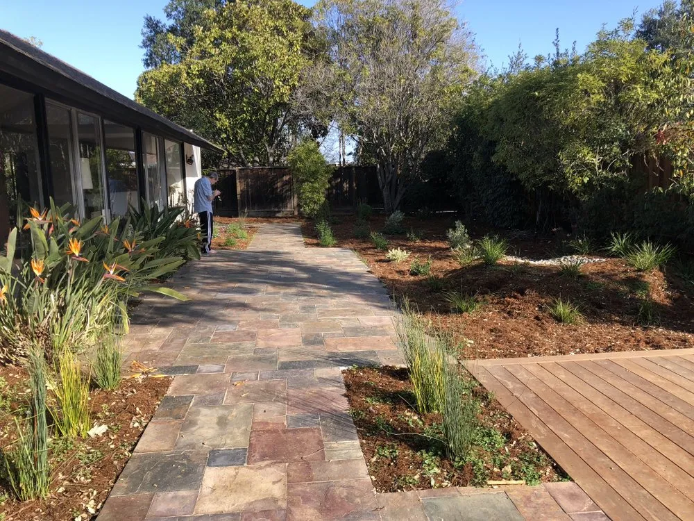Expert yard cleanup service for year-round maintenance in Menlo Park, CA by DJ Landscaping