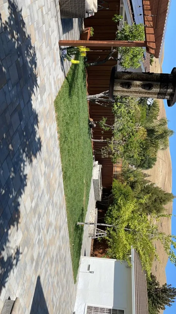 Expert lawn care service in Menlo Park, CA - DJ Landscaping