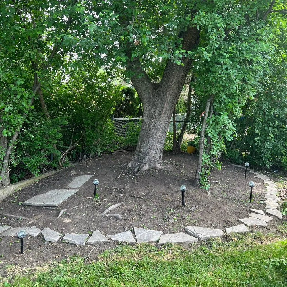 Expert landscape installation for year-round maintenance in Westland, MI by D&j Landscaping