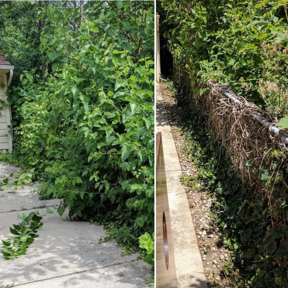 Affordable lawn mowing service in Westland, MI - D&j Landscaping