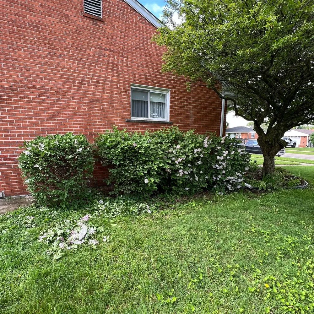 Professional outdoor landscaping experts serving Westland, MI - D&j Landscaping