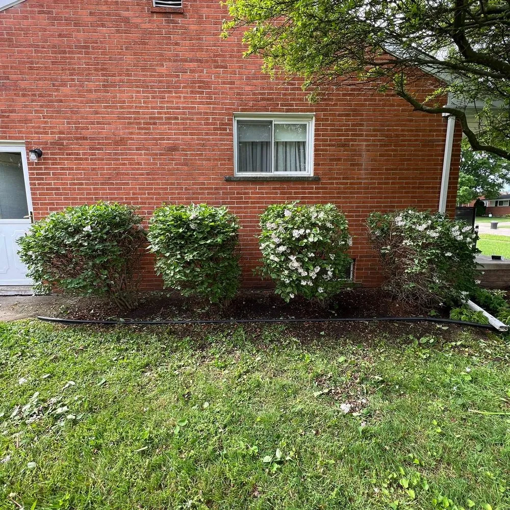 Trusted yard cleanup service experts serving Westland, MI - D&j Landscaping