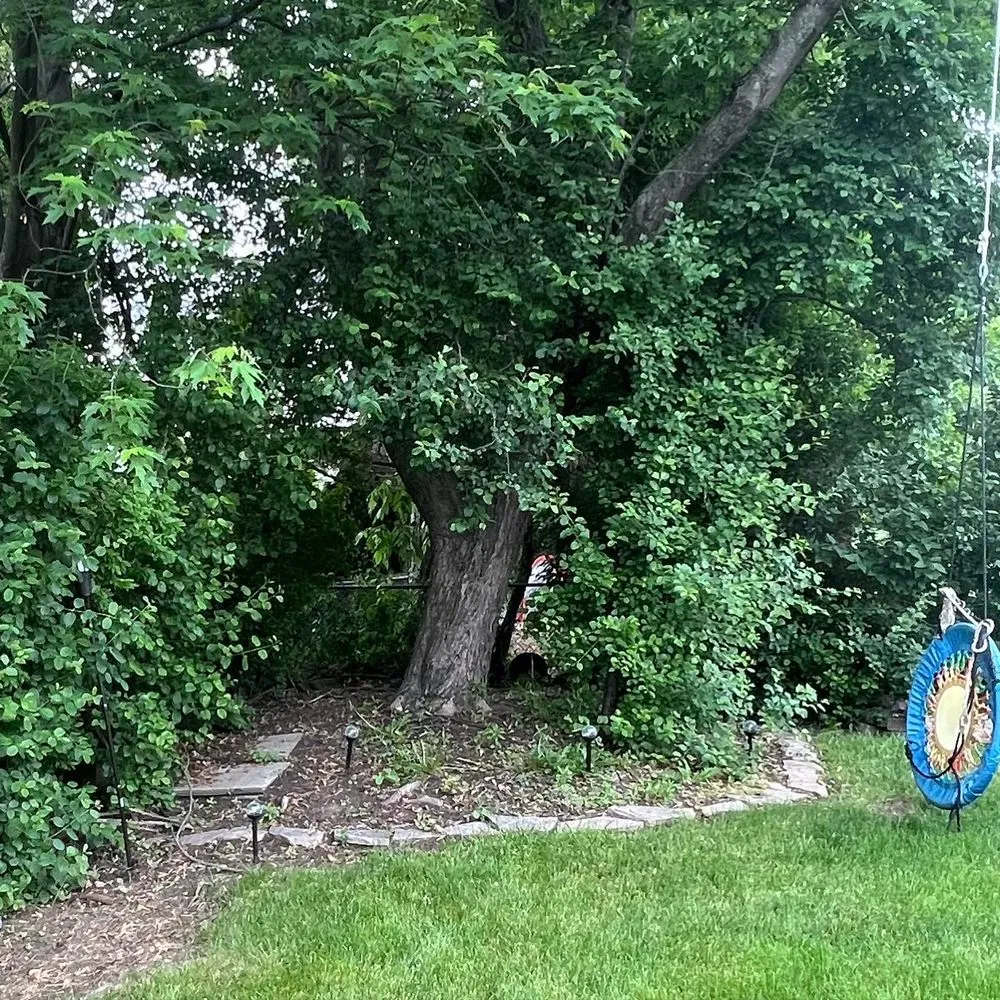 Expert yard maintenance for outdoor upgrades across Westland, MI - D&j Landscaping