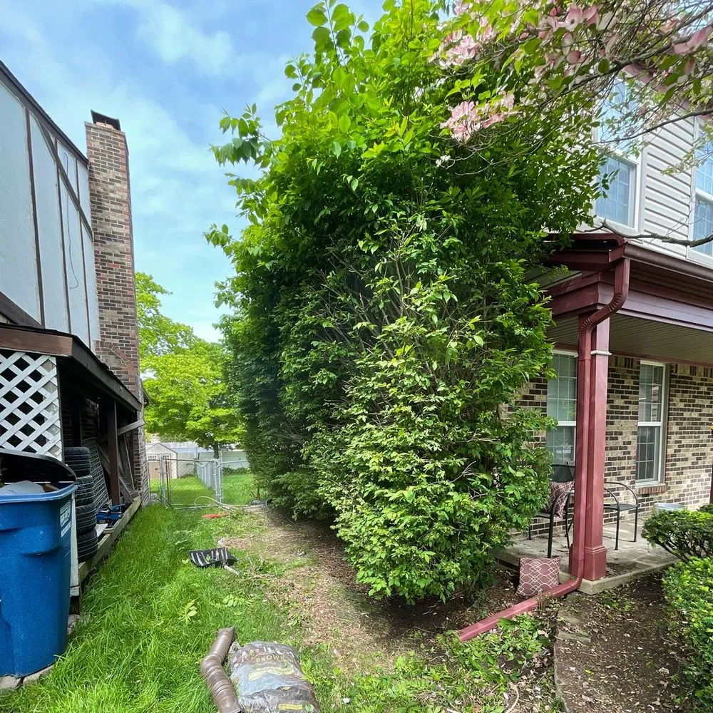 Professional lawn care service experts serving Westland, MI - D&j Landscaping