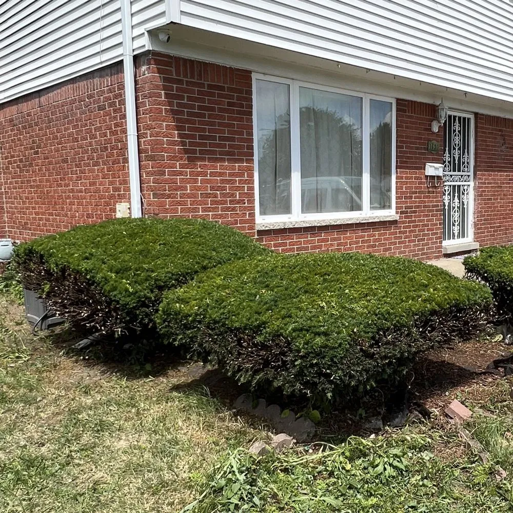 Trusted yard cleanup service experts serving Westland, MI - D&j Landscaping