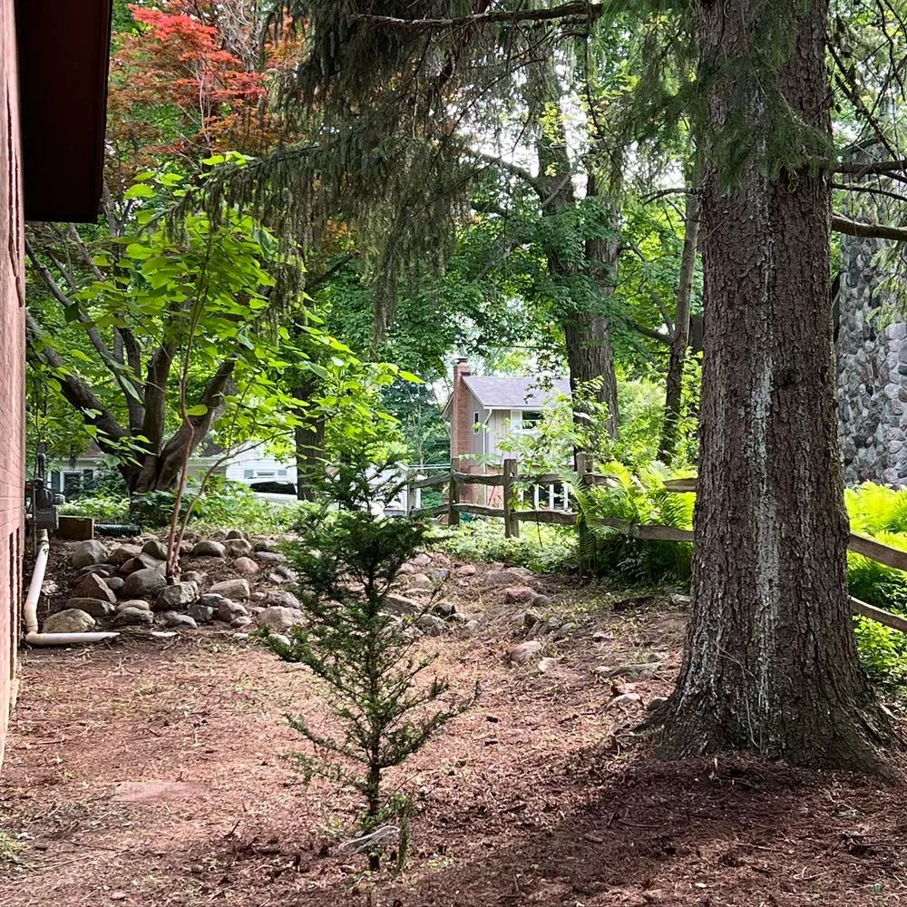 Trusted lawn mowing service in Westland, MI by D&j Landscaping